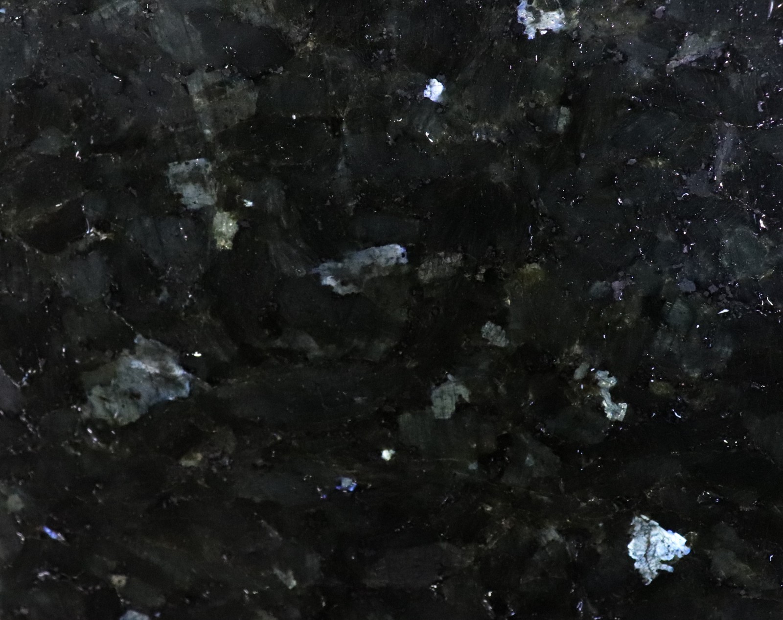 Emerald Pearl (Labrador)