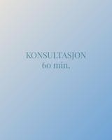 KONSULTASJON 60 MIN.