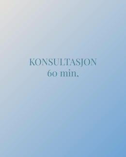 KONSULTASJON 60 MIN.