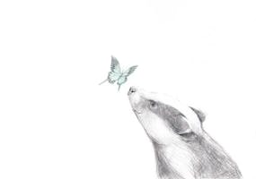 Grevlingen og sommerfuglen 15*15 cm bursdagskort - fra Tails
