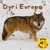 Bok med lyd - Dyr i Europa